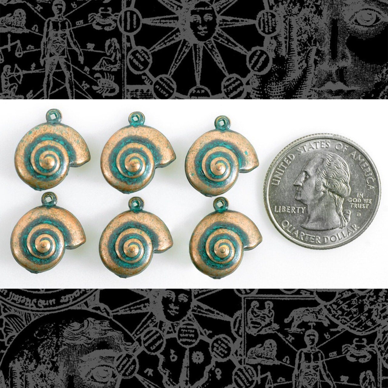 Verdigris Finished Brass Sea Snail Two Sided Charms - Set of Six - XXX - V-C133